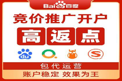sem百度竞价成功案例：如何精准投放广告